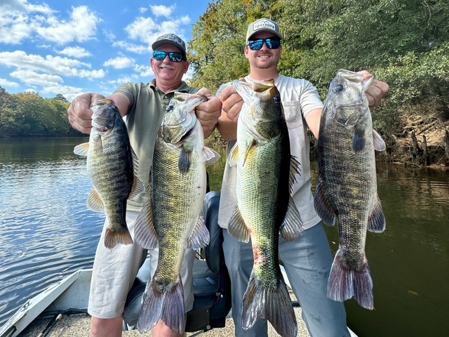 Flint river shoal bass Flint river shoal bass