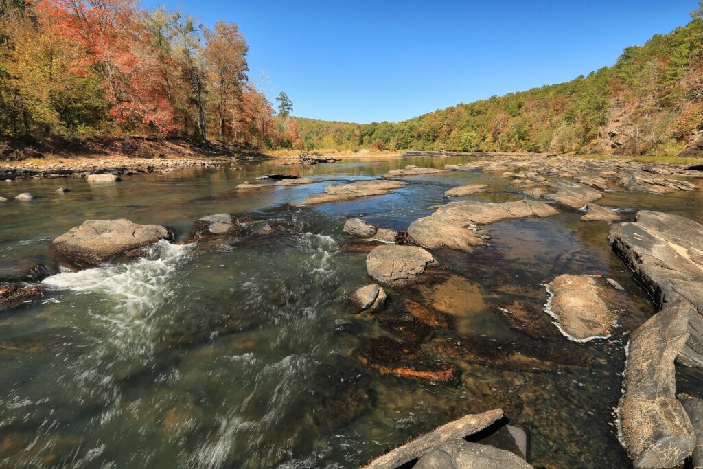 Flint River Shoals Flint River Shoals